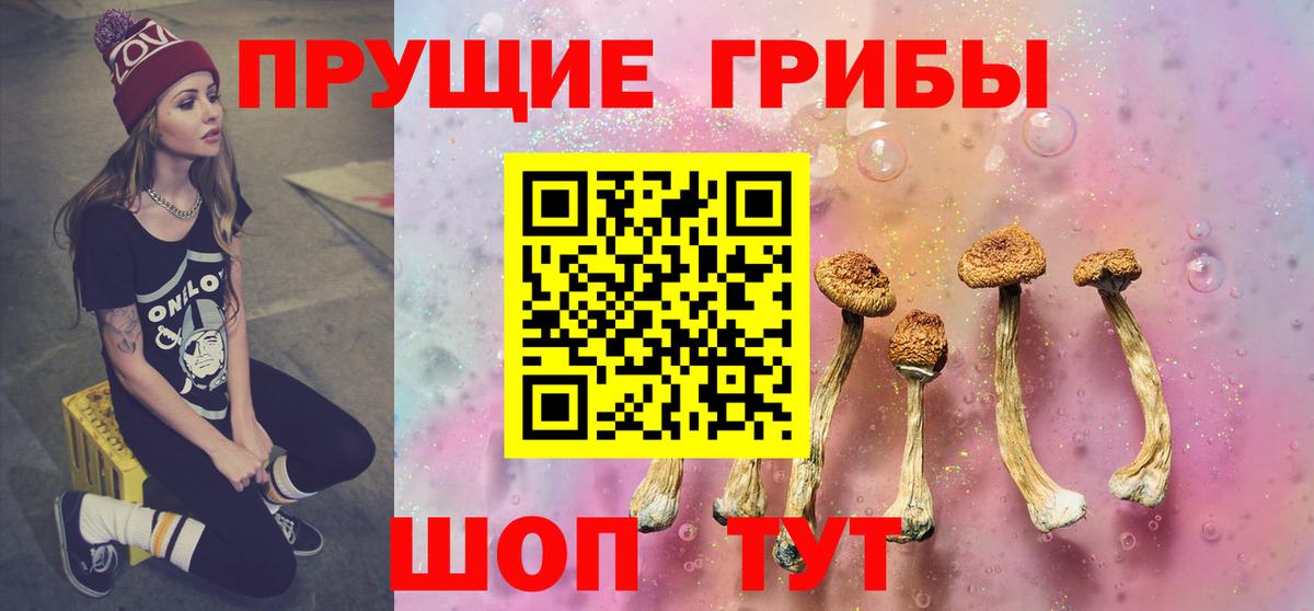 Псилоцибиновые грибы GOLDEN TEACHER Муром