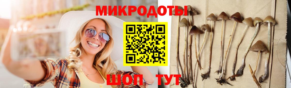 Муром  Псилоцибиновые грибы ЛСД  Вход с VPN 