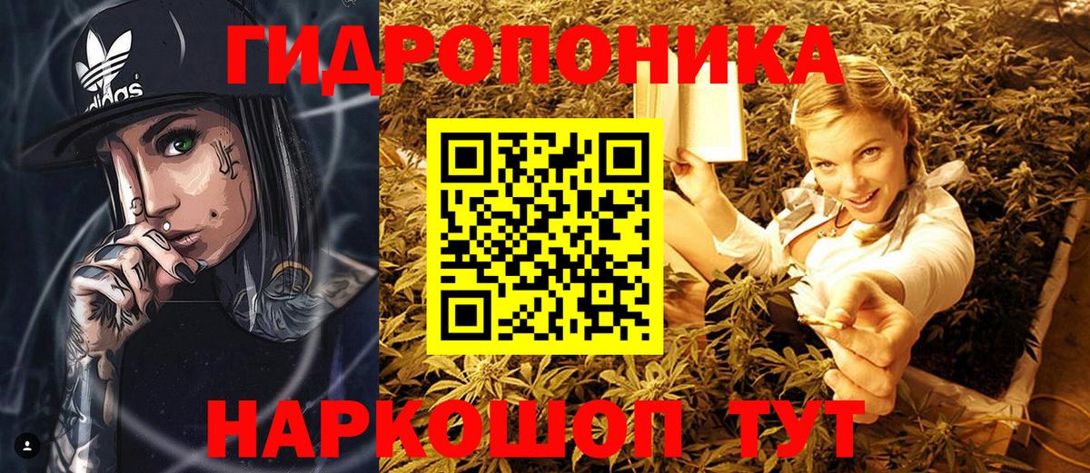 Бошки марихуана сатива  Бошки марихуана марихуана  Муром  Вход с VPN 